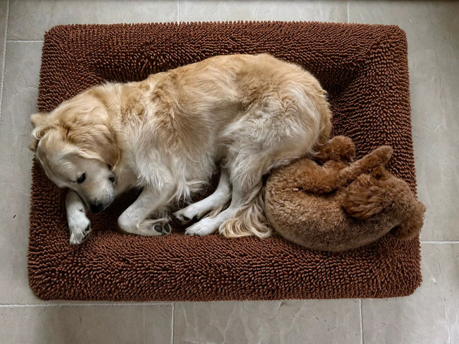 Nalah the Golden Retriever and Minnie the poodle asleep on a Turf towelling covered bed