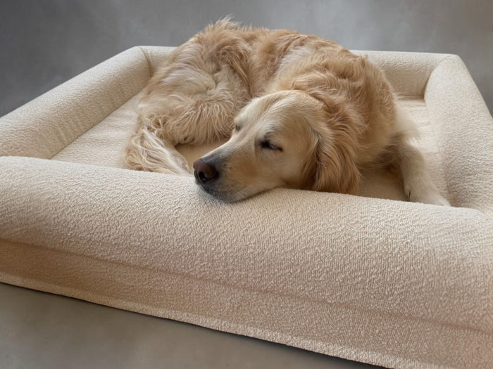 Orthopaedic Beds