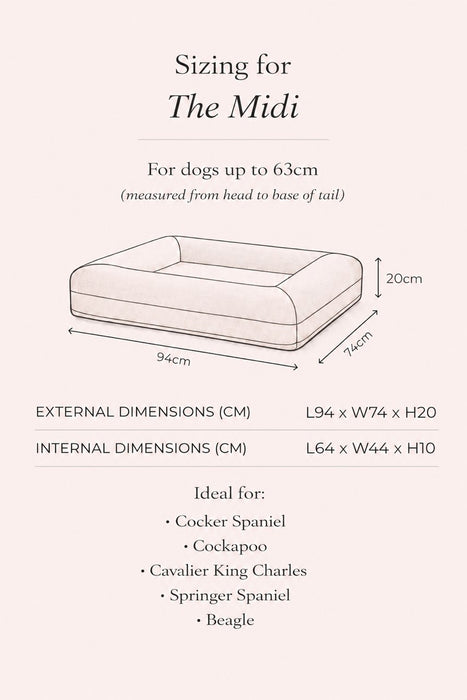 The Midi (Pre-Order)