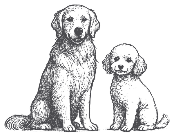 Nalah the Golden Retriever and Minnie the poodle, the inspiration behind Nally & The Poo