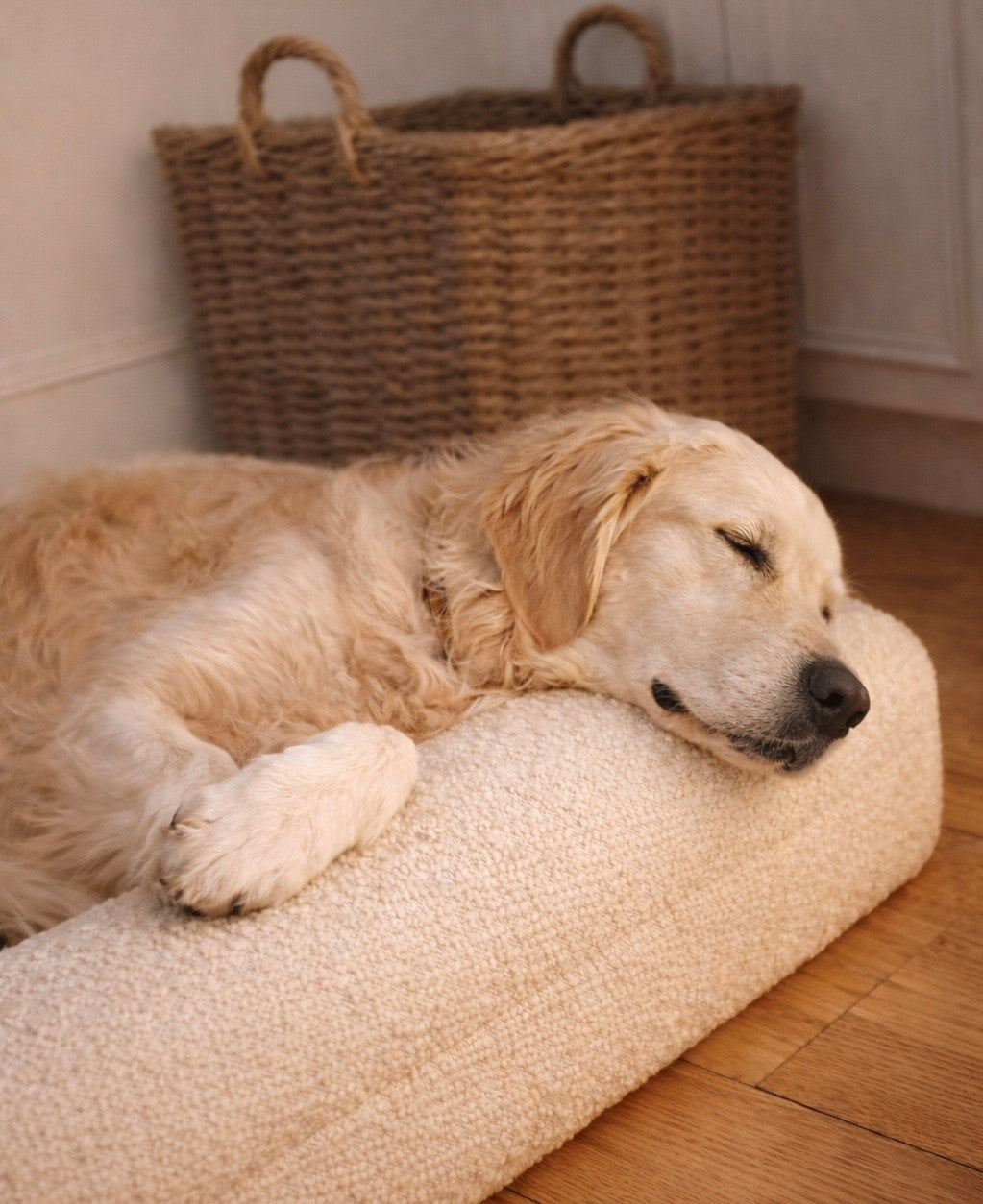 A dog bed that belongs in your home.