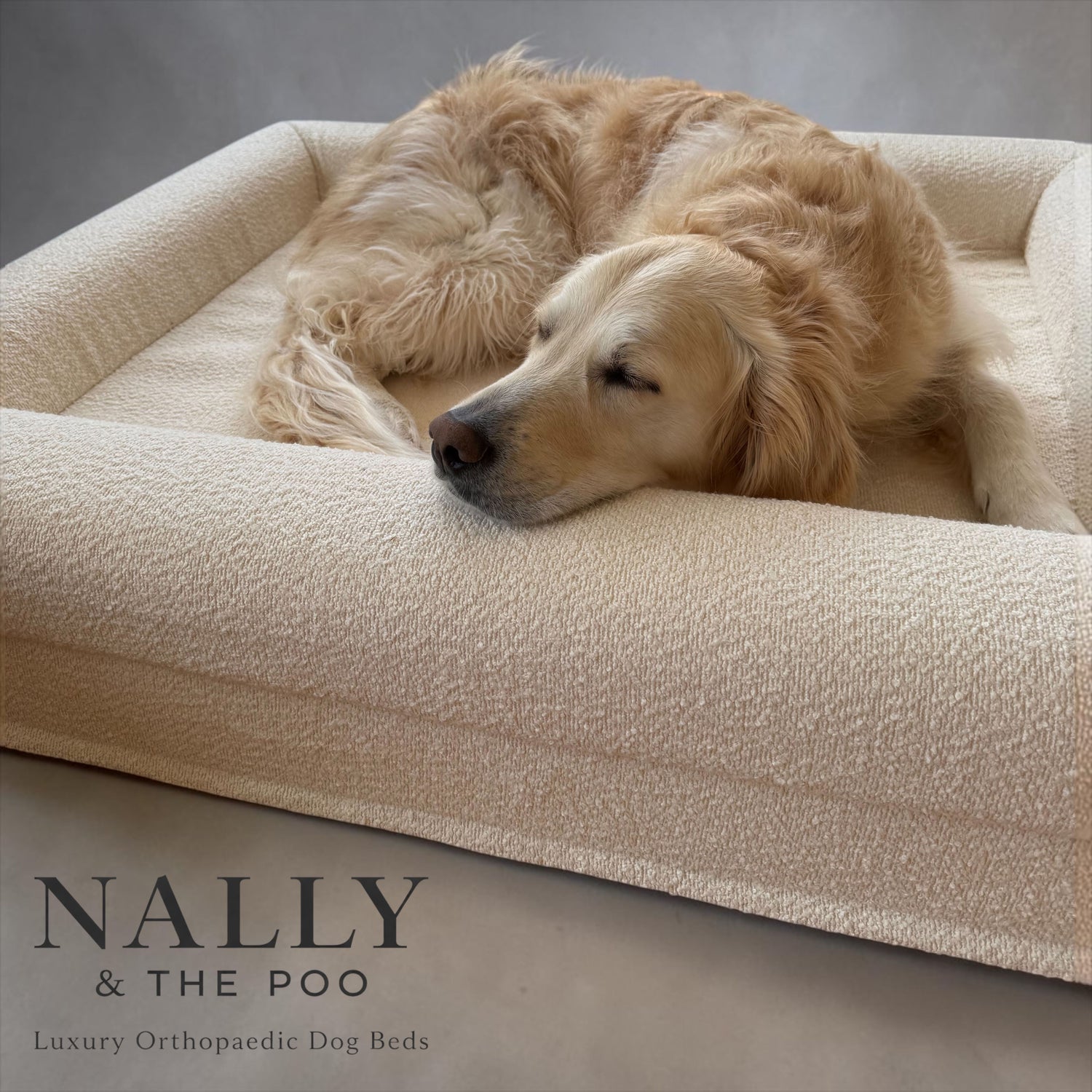 A dog bed that belongs in your home.